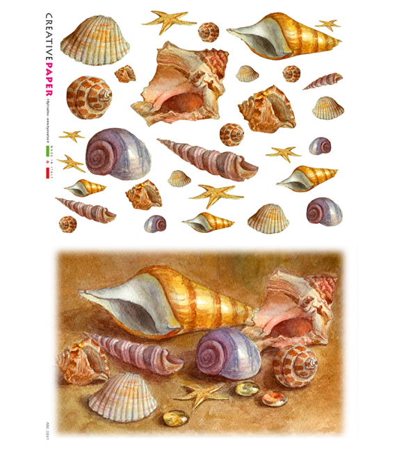 Carta di riso Decoupage: Conchiglie