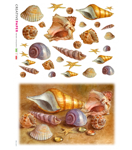 Carta di riso Decoupage: Conchiglie