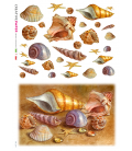 Carta di riso Decoupage: Conchiglie