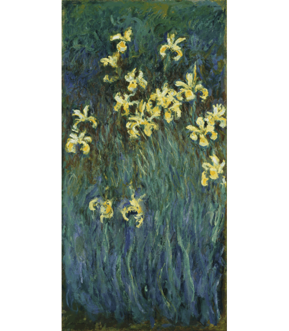 Stampa su tela: Claude Monet - Iris gialli