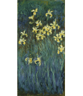 Claude Monet - Iris gialli. Stampa su tela