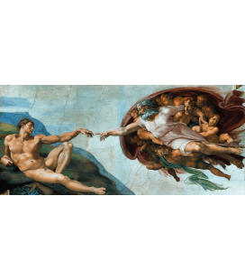 Stampa su tela: Michelangelo Buonarroti - Creazione di Adamo