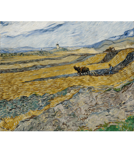 Stampa su tela: Vincent Van Gogh - Campo chiuso con aratro