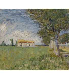 Stampa su tela: Vincent Van Gogh - Cottage bianco tra gli alberi di ulivo