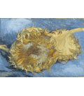 Vincent Van Gogh - Two Cut Sunflowers. Printing on canvas