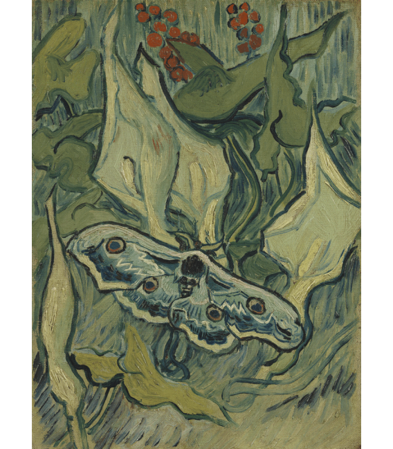 Printing on canvas: Vincent Van Gogh - Butterflies