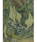 Vincent Van Gogh - Farfalle. Stampa su tela
