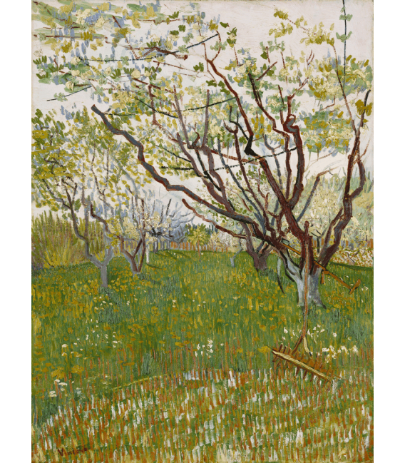 Printing on canvas: Vincent Van Gogh - Orchard in bloom