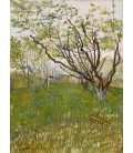 Vincent Van Gogh - Orchard in bloom. Printing on canvas