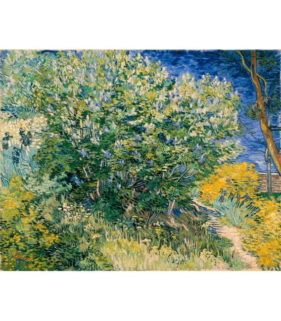 Printing on canvas: Vincent Van Gogh - Almond Blossom