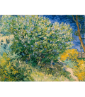 Printing on canvas: Vincent Van Gogh - Almond Blossom