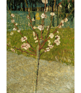 Vincent Van Gogh - Mandorlo in fiore 2. Stampa su tela