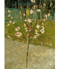 Vincent Van Gogh - Almond Blossom 2. Printing on canvas