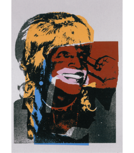 Andy Warhol - Ladies and Gentlemen 1975. Stampa su tela