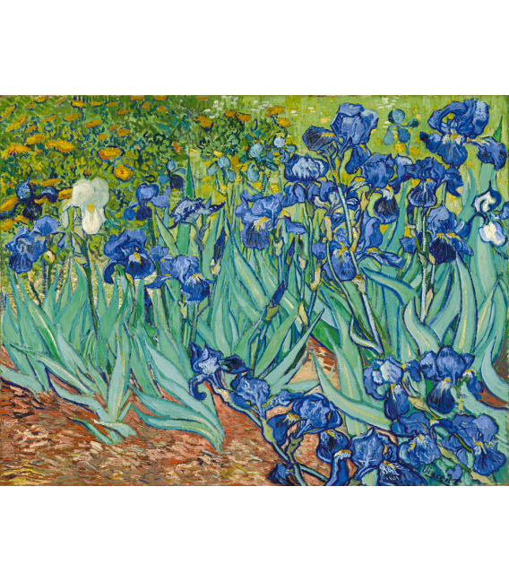 Printing on canvas: Vincent Van Gogh - Irises