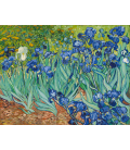 Vincent Van Gogh - Irises. Printing on canvas