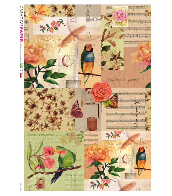 Carta di riso Decoupage: Uccelli, Rose e Musica