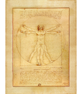 Leonardo Da Vinci - The Vitruvian man. Print on canvas