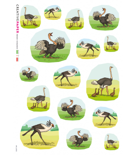 Carta di riso Decoupage: Struzzo nella Savana