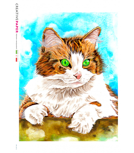 Carta di riso Decoupage: Gatto Dipinto 