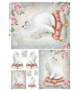 Carta di riso per decoupage ANI-0074