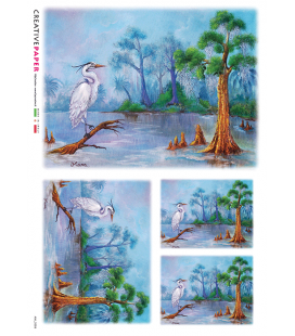 Carta di riso per decoupage ANI-0058