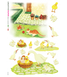 Carta di riso per decoupage ANI-0036-null