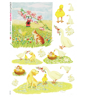 Carta di riso per decoupage ANI-0035-NULL