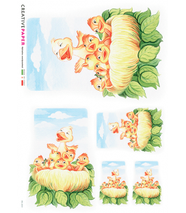 Carta di riso per decoupage ANI-0031-NULL