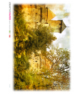 Carta di riso per decoupage PAE_0008