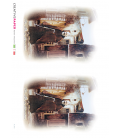 Carta di riso per decoupage SPI_0028