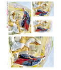Carta di riso per decoupage SPI_0054