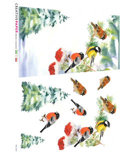 Carta di riso per decoupage TEG_0020