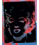 Andy Warhol - Two Multicoloured Marilyn