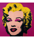 Andy Warhol - Marilyn Monroe-Blonde On Pink 11.31