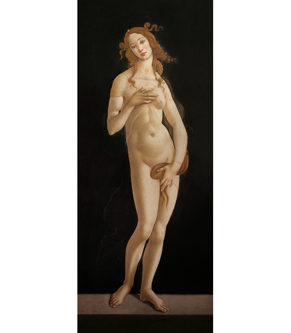Sandro Botticelli - Venere Pudica. Stampa su tela