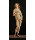 Sandro Botticelli - Venere Pudica. Stampa su tela