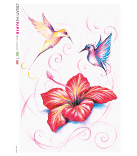 Carta di riso Decoupage: Uccelli con Ibisco 