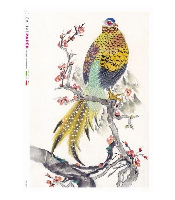 Carta di riso Decoupage: Uccelli Portafortuna