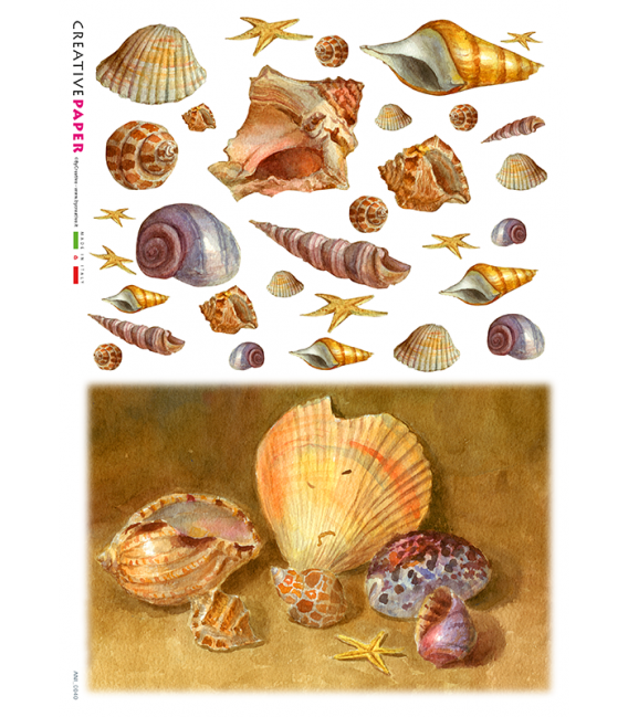 Carta di riso Decoupage: Conchiglie