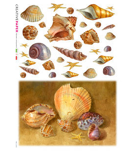 Carta di riso Decoupage: Conchiglie